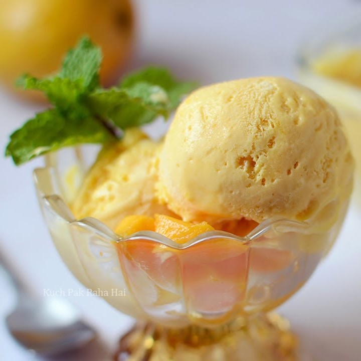 Mango Fruit Powder 100% Natural