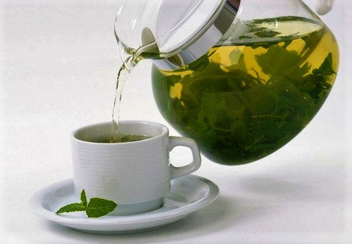 MORINGA POWDER 100% NATURAL - Satvikzone