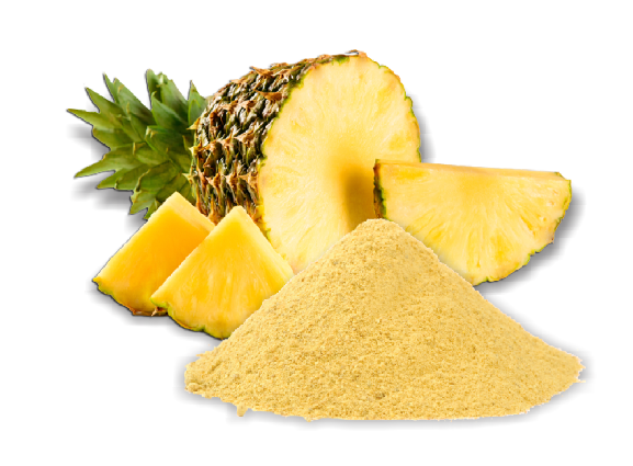 PINEAPPLE FRUIT POWDER 100% NATURAL - Satvikzone