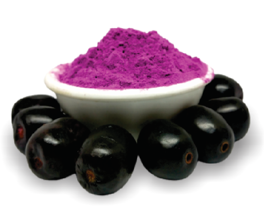 JAVA PLUM FRUIT POWDER 100% NATURAL - Satvikzone