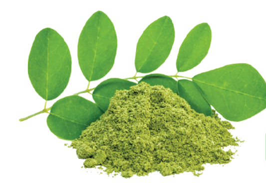 MORINGA POWDER 100% NATURAL - Satvikzone